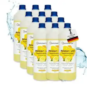 Matratzenreiniger Sommertal Polster- und Teppichreiniger 12L