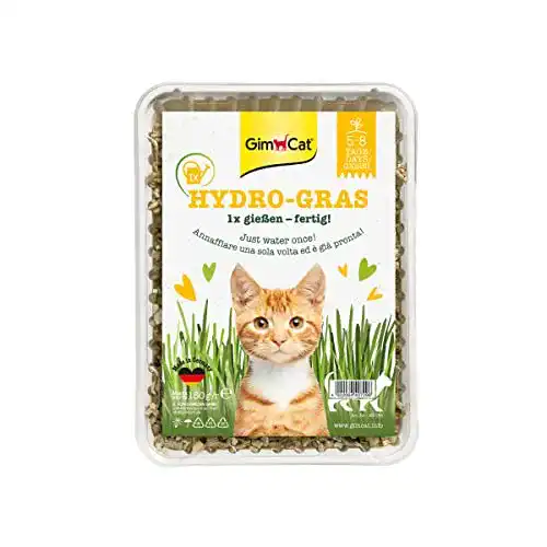Katzengras GimCat Hydro-Gras aus kontrolliertem Feldanbau