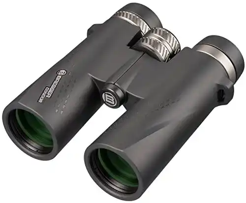 Fernglas 10×42 Bresser 1821043 Condor Dachkant wasserdicht