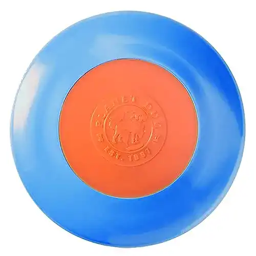 Hundefrisbee Outward Hound Orbee-Tuff Zoom Flyer – Robuste Flugscheibe