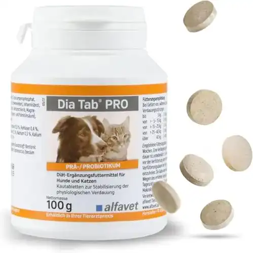 Probiotika für Hunde und Katzen – Alfavet Dia Tab PRO, Diät-Ergänzungsfuttermittel