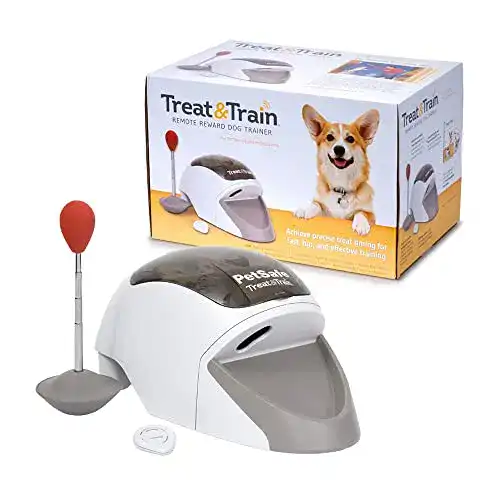 Hunde-Intelligenzspielzeug von PetSafe Treat & Train