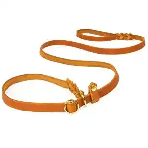 Retrieverleine Copcopet mit Zugstopp für kleine Hunde, 1,20 m x 10 mm