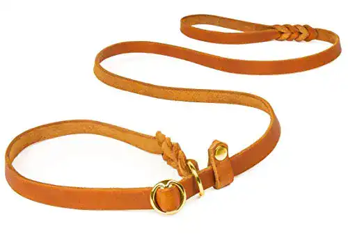 Retrieverleine Copcopet mit Zugstopp für kleine Hunde, 1,20 m x 10 mm
