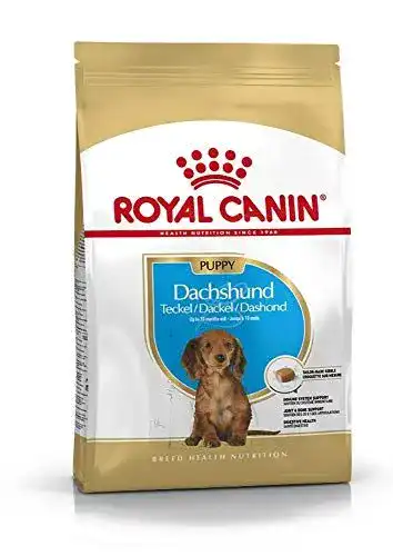 Royal Canin Welpenfutter für Dackel 1,5 kg Trockennahrung