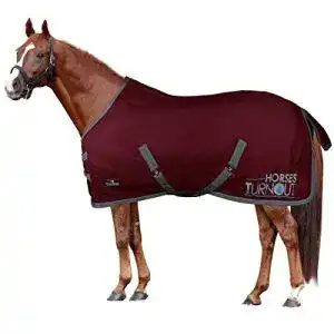Pferdekoppeldecke Horses Turnout 200 g in Bordeaux