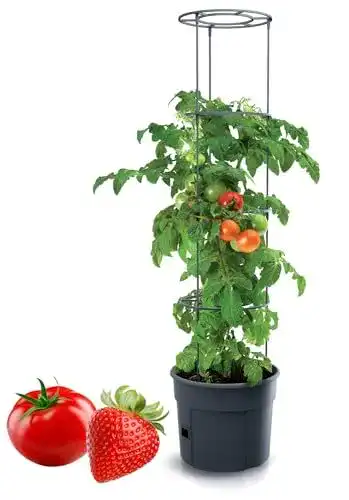 Tomatentopf Tymar mit Rankhilfe und Wasserspeicher für den Balkon