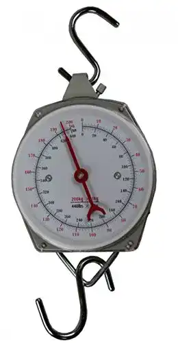 Hängewaage Benson Tools 008621 Zeigerschnellwaage bis 200 kg