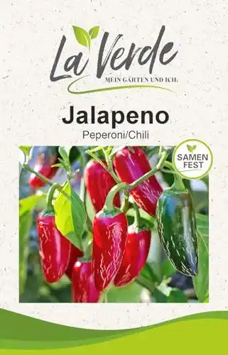 Jalapeno Pflanzensamen für den Garten Capsicum annuum