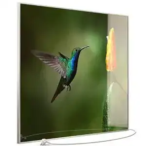 Infrarotheizung 1200 Watt von Steinfeld Heizsysteme mit Glasbild