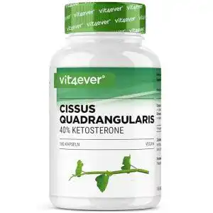 Cissus quadrangularis Vit4ever 180 Kapseln mit 720 mg Extrakt