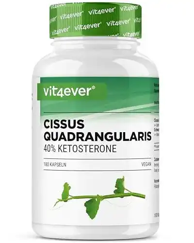 Cissus quadrangularis Vit4ever 180 Kapseln mit 720 mg Extrakt