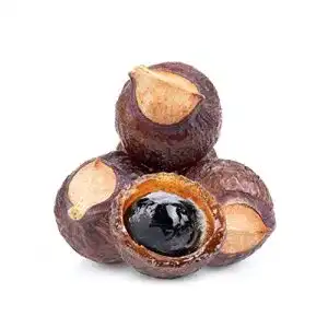 Waschnüsse Naturgut im Baumwollbeutel mit Waschsäckchen, 1 kg