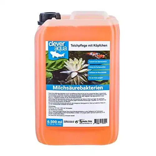 Teichbakterien Clever Aqua Milchsäurebakterien für Teichpflege