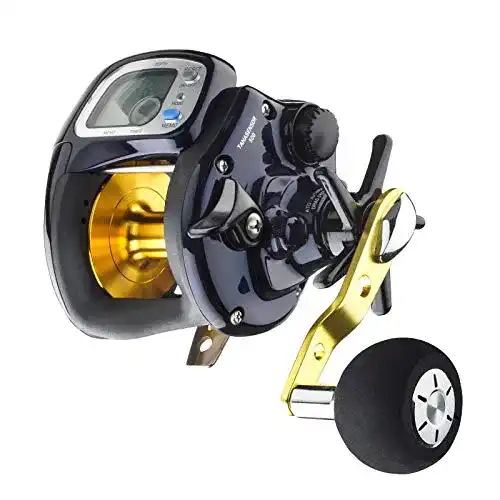 Daiwa Tanasensor 500 Elektro-Multirolle für Rechtshänder