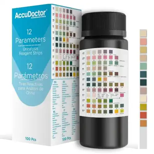 Urinteststreifen Accudoctor für 100 Tests zur Gesundheitsüberwachung