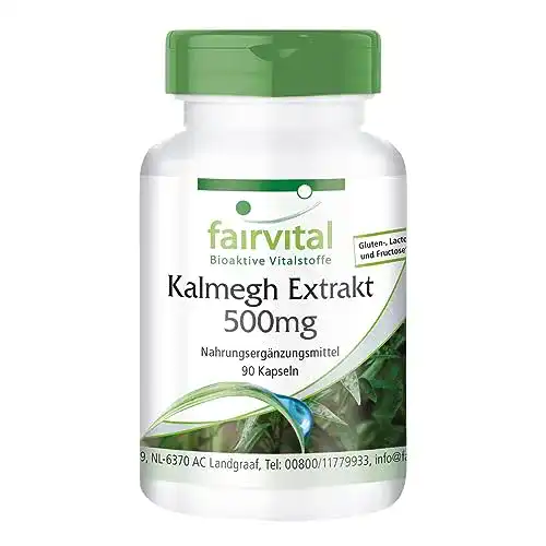 Andrographis Fairvital Kalmegh Extrakt 500 mg, 90 Kapseln