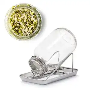 Sprossenglas Set BigDean 1000ml für Keimlinge und Sprossen