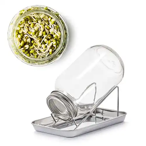 Sprossenglas Set BigDean 1000ml für Keimlinge und Sprossen