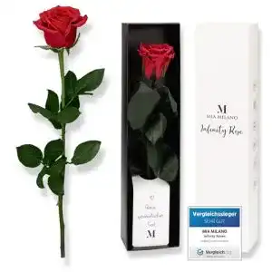 Ewige Rose Mia Milano rot am Stiel (5 Jahre haltbar) in Geschenkbox