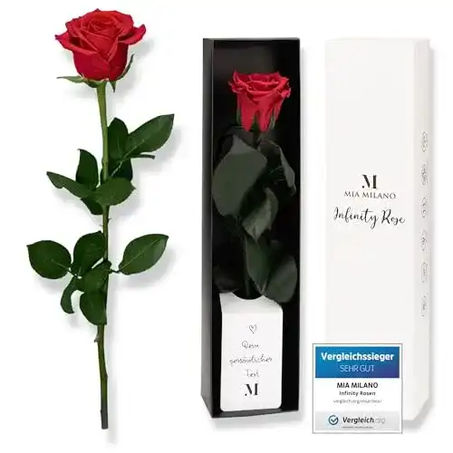 Ewige Rose Mia Milano rot am Stiel (5 Jahre haltbar) in Geschenkbox