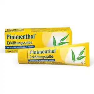 Erkältungssalbe Pinimenthol 100 g mit ätherischen Ölen