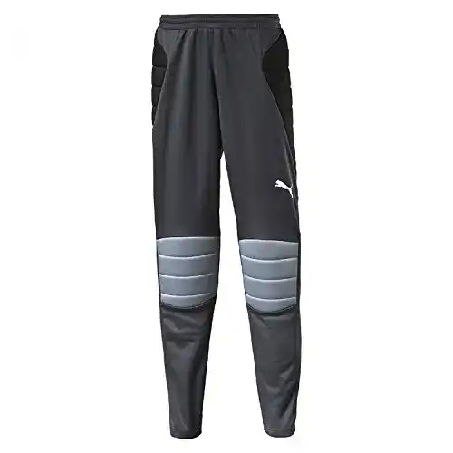 Torwarthosen für Kinder von Puma GK Padded Pants in Ebony/Black/Tradewinds