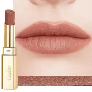 Matter Lippenstift Oulac Hochpigmentierter und Wasserfester Lippenstift für Damen