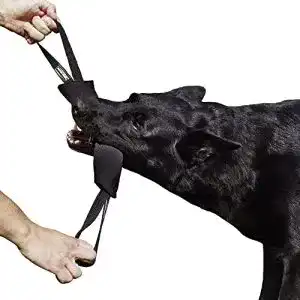 Beißwurst für Hunde von Dingo Gear – Baumwolle und Nylon, 28 x 7 cm