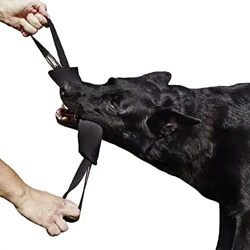 Beißwurst für Hunde von Dingo Gear – Baumwolle und Nylon, 28 x 7 cm