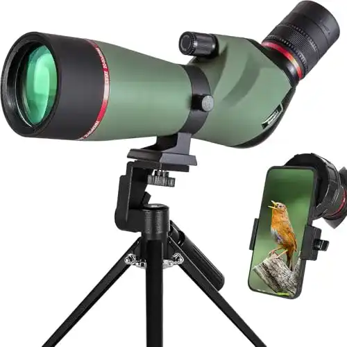 Gosky QHLZ206060N Spektiv für Herren in Grün