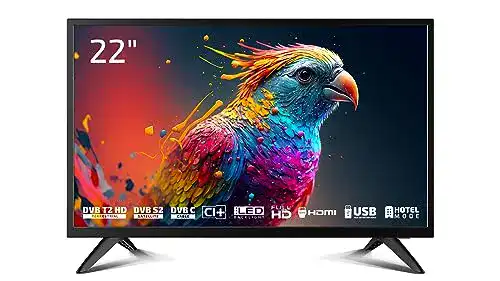 Dyon Enter 22 Pro X2 55 cm (22 Zoll) Full-HD Fernseher