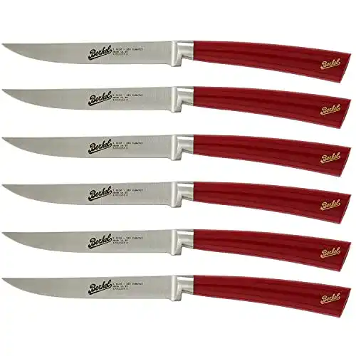 Berkel Messer Van International KEP6ST11SRRGB Elegance 20 cm Set