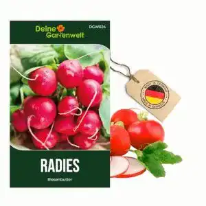 Radieschen-Samen Riesenbutter für den Garten