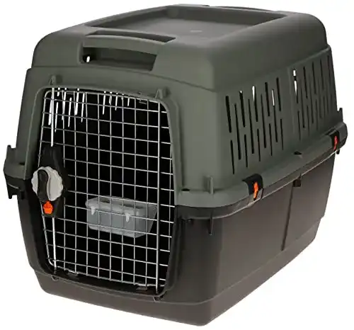 Hundebox aus Kunststoff von Kerbl für Transport und Reisen