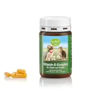 Vitamin-B-Komplex für Hunde von Kräuterhaus Sanct Bernhard