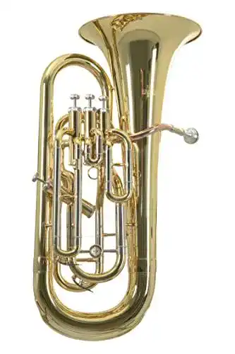 Euphonium Roy Benson Bb-Euphonium EP-302 mit Goldmessing Mundrohr