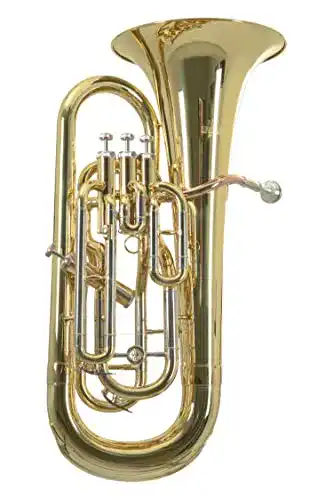 Euphonium Roy Benson Bb-Euphonium EP-302 mit Goldmessing Mundrohr