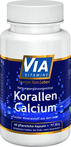 Calcium Kapseln Via Vitamine Korallen Calcium 60 Kapseln 400 mg