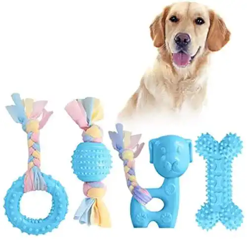 Hundespielzeug JYPS Gummi für Welpen und kleine Hunde, Zahnen