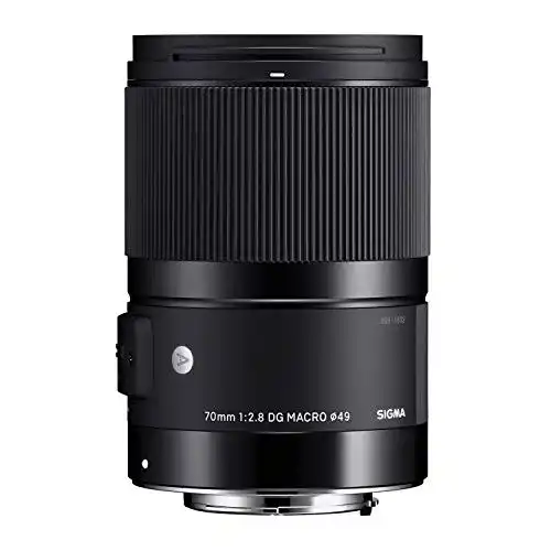 Sigma 70mm F2,8 DG Macro Art Objektiv für Sony E-Bajonett