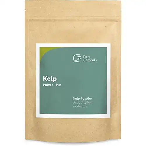 Kelp Pulver 250 g – Knotentang, Braunalge Ascophyllum nodosum