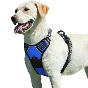 Hundegeschirr mit Brustring Eagloo für große Hunde