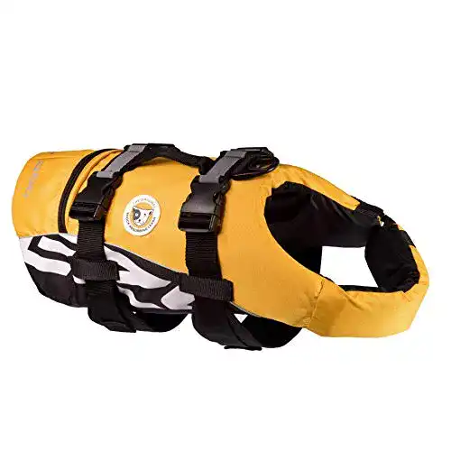 EzyDog Schwimmweste für Hunde – DFD Hundeschwimmweste für kleine Hunde