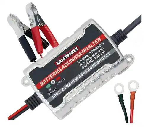 Erhaltungsladegerät Dino Kraftpaket 750mAh für 6V und 12V Batterien