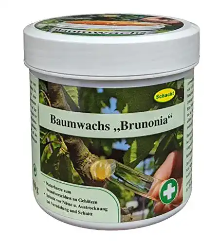 Baumwachs Schacht 1BAUM250 Brunonia 250 g Dose