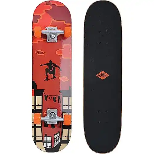 Skateboard Schildkröt Kicker 31, Komplett-Board für Einsteiger