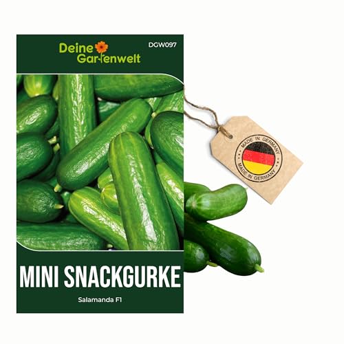 Gurken-Samen Mini Snackgurke Salamanda F1 von Deine Gartenwelt