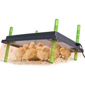 Wärmeplatte für Küken 30×40 cm von Heninhill – Heizplatte für Hühner und Geflügel