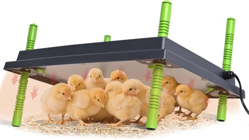 Wärmeplatte für Küken 30×40 cm von Heninhill – Heizplatte für Hühner und Geflügel